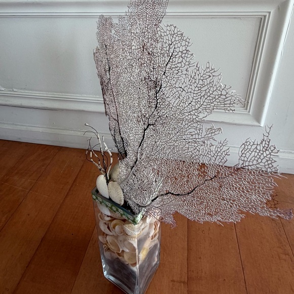 coral - Picture 3 of 5